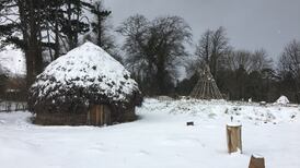 Medieval hut at UCD burned down in ‘arson’ attack
