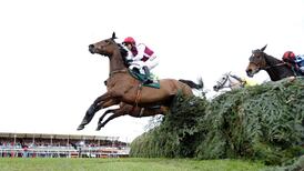 Seabass to miss Aintree Grand National