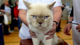 Citizen science project launched today