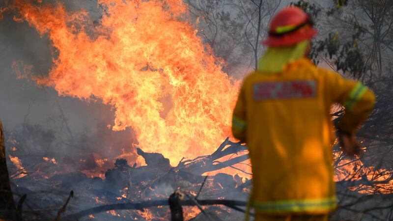 A firefighter works to contain a bushfire near Glen Innes, New South Wales, Australia. Photograph: Dan Peled/EPA