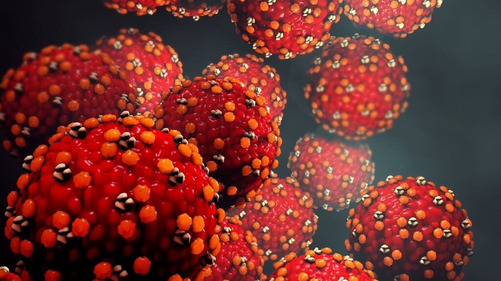 The first case of rubella in Ireland in more than a decade has been confirmed at a company on the northside of Cork city.