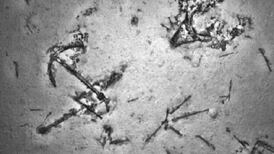 MH370 airplane search finds shipwreck in Indian Ocean