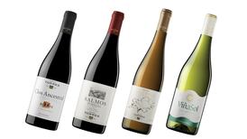 Can wines be kind to the environment? One Catalan producer is leading the way – and also making great wines