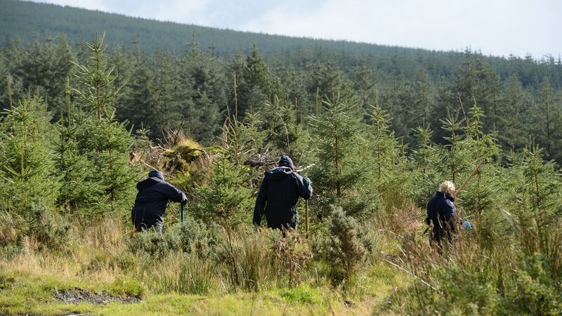 Gardaí searching for clues at the scene where Michael McCoy’s body was found at Blackhill Forest near Brittas. Photograph: Dara Mac Dónaill