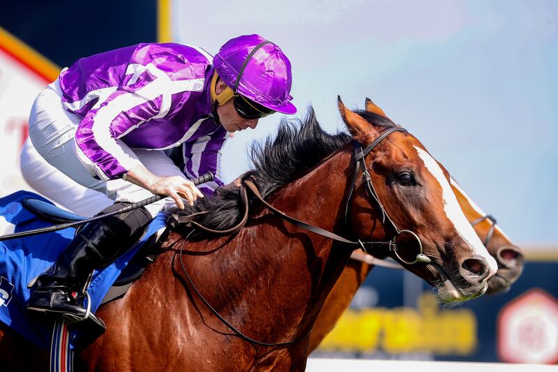 Diego Velazquez: will bid for the €1.5 French Derby at Chantilly for Aidan O'Brien. Photograph: Bryan Keane/Inpho