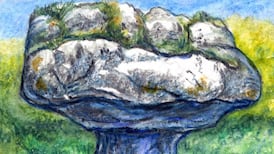 Laois and Offaly, I take it all back