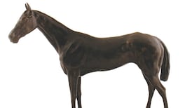 Three-day auction in Durrow has lots of surprising treasures