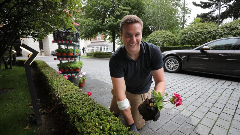 Nick Sharkey, head gardener. Photograph: Nick Bradshaw/The Irish Times