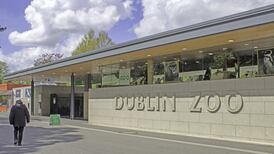 Covid-19: Dublin Zoo and Fota Wildlife Park to get €3m in State aid