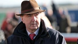 Punchestown Festival: Silver Concorde set to spearhead Weld team