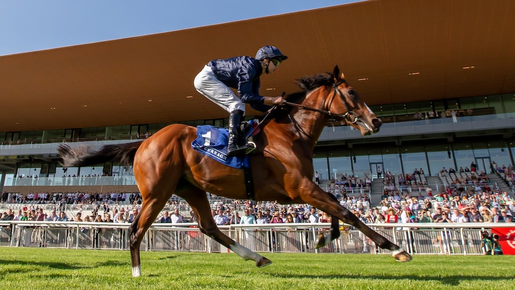 Aidan O’Brien may switch Armoury to Chantilly in a bid to win a first French Derby on Sunday. Photograph: Morgan Treacy/Inpho