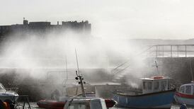 Many trees in storm fell because of earlier dry spell and effect of climate change