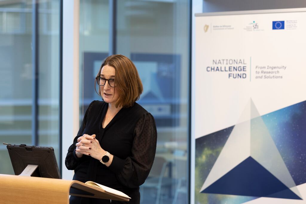 Lisa Higgins, SFI's head of challenge research, education and public engagement. 'We want to bring academic research together with collaborators from beyond academia'