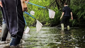 The wonder of the local stream