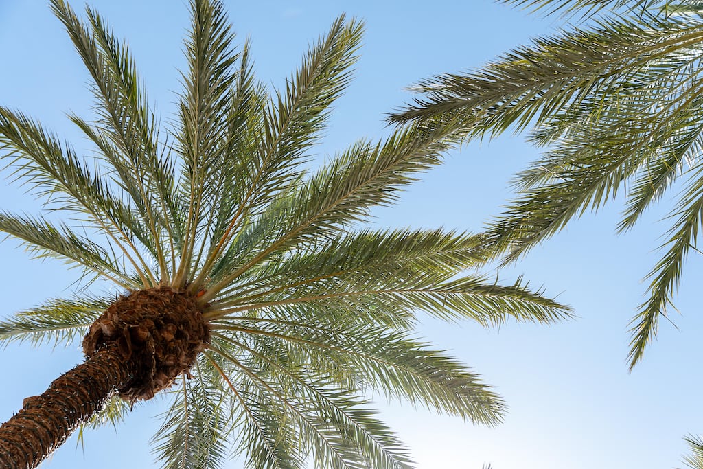 Storm Hermine had been expected to strike the Canary Islands as a tropical storm but was downgraded on Sunday to a tropical depression by the US National Hurricane Center. Photograph: Alamy/PA