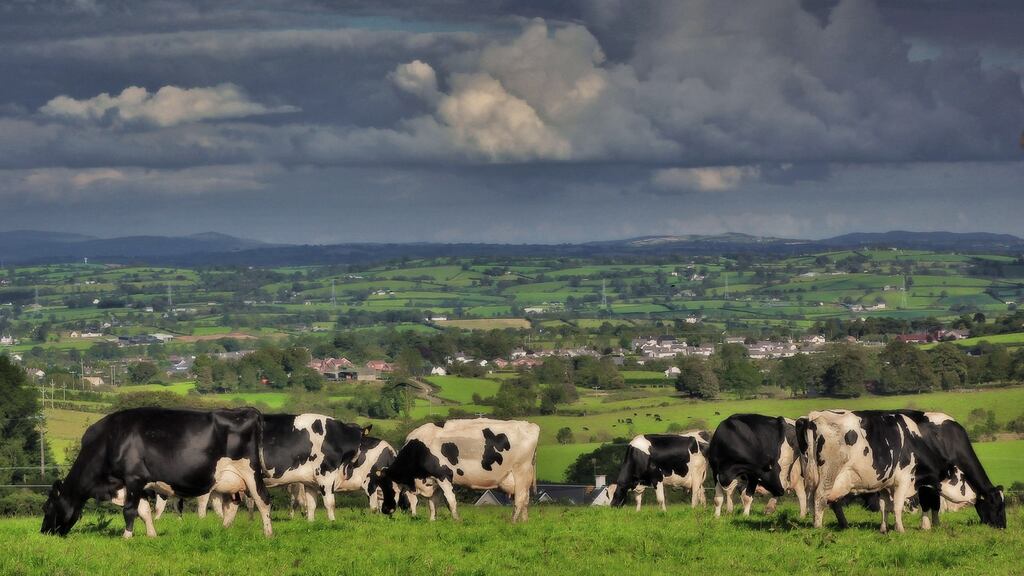 Cows graze near Markethill, Co Armagh. Liquid milk tends to flow South-North in January-March and in the autumn, and North-South the rest of the year