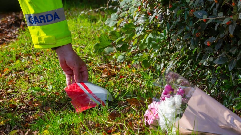 A garda handles a piece of debris near the scene of the aircraft crash in Duncormick, Co Wexford. Photograph: Patrick Browne