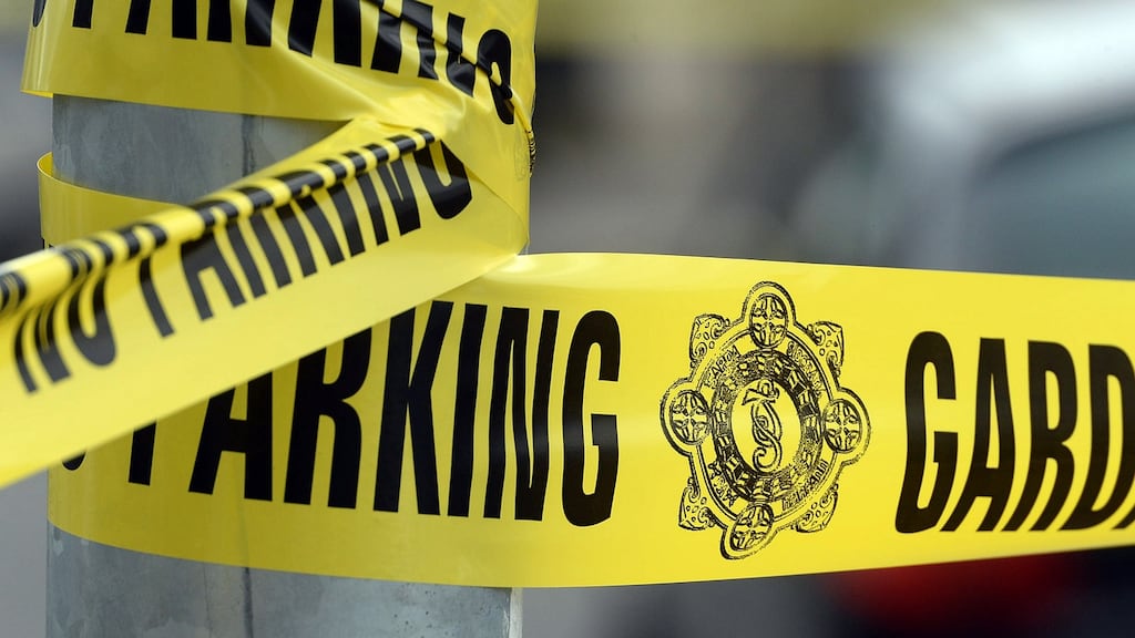 A 28-year-old woman is fighting for her life after suffering a serious head injury in an incident in Co Louth. File photograph: Cyril Byrne/The Irish Times