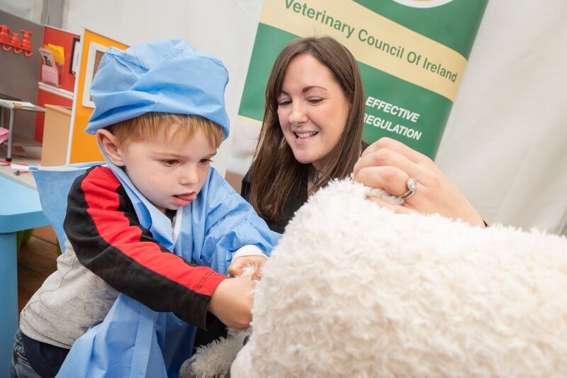 21/9/22 * NO FEE
Two year old Ben Faequharson from Limerick learns how to deliver a new born lamb with the help of Niamh Muldoon, CEO and Registrar of the Veterinary Council of Ireland, in the educational corner at the Veterinary Council tent at the National Ploughing Champtionships in Laois.
Picture: Finbarr O’Rourke
NO REPRO FEE