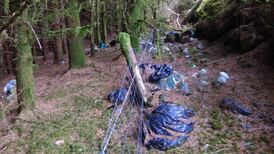 Illegal dumping of rubbish is ‘environmental treason’