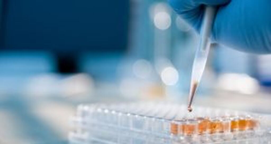 The programme will target a number of areas including advanced manufacturing, bio-manufacturing, energy, marine, ICT, medical devices, agrifood, climate change, smart citiesand digital platforms