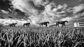 In these feral times Cheltenham has never been more necessary