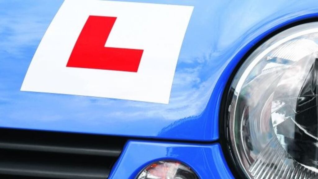 Judge Martin Nolan said the defendants were 'part of a conspiracy' to do the driving theory test for 'third parties who did not do it'