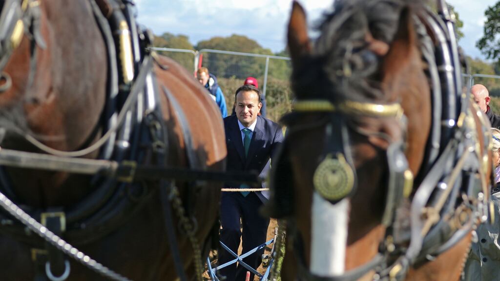 Taoiseach Leo Varadkar has a ‘go’ at vintage horse-drawn ploughing at this year’s National Ploughing Championships. Photograph: Nick Bradshaw