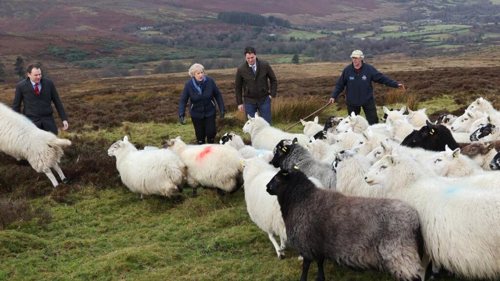 Donie Anderson, who runs a sheepfarm neighbouring Pat Lee’s in Glenasmole, Co Dublin, with Minister for Rural Affairs Heather Humphreys, Minister for Agriculture Charlie McConalogue and Minister of State for Farm Safety Martin Heydon to highlight the responsibilities of dog owners this lambing season. Photograph: Dara Mac Dónaill