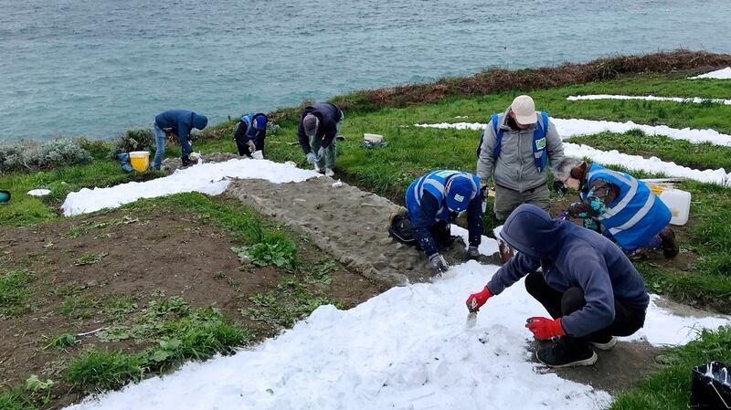 More than 60 volunteers helped with the painting