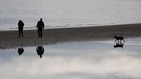 Dog dirt the biggest contributor to poor quality Dublin bathing water