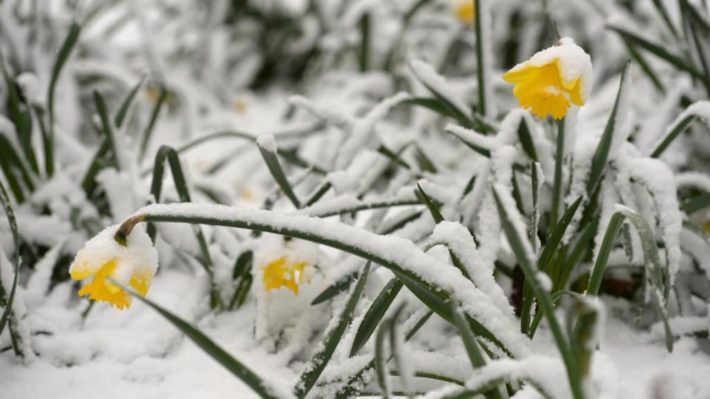 Taoiseach Leo Varadkar said last year any form of carbon tax would have ‘totally wiped out’ tax cuts in the budget because we were ‘heading into winter’ Photograph: Dara Mac Dónaill/The Irish Times