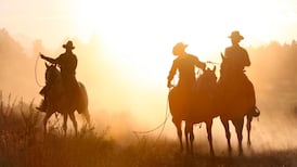 Travel Writer, Oregon: “The steers are lively, and make the young cowboys earn their rodeo stars”