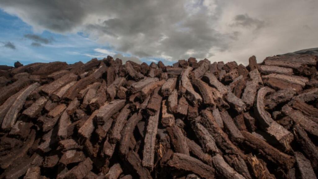 ‘It is a shameful fact that at least 30 per cent of these Special Areas of Conservation have already lost their core biodiversity value, thanks to continued turf-cutting during the two decades that politicians have refused to grasp this nettle.’