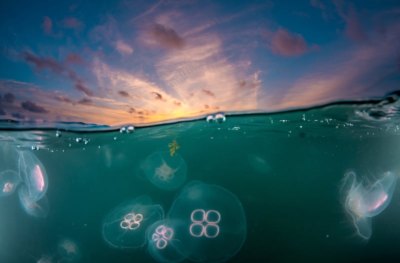 'Sunset Moons', taken in Kerry, was shortlisted in the Ocean category. Photograph: Daniel Fildes