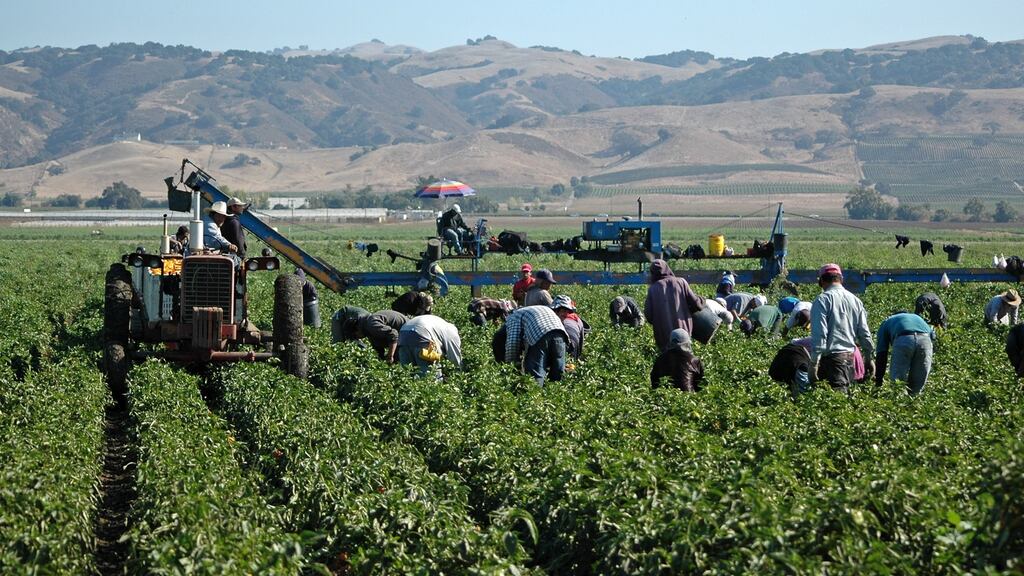 Job growth has averaged 158,000 per month this year, below the average monthly gain of 223,000 in 2018. Photograph: Getty