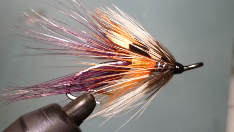 Purple Bann Shrimp, tied by Jimmy Tyrrell