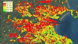 More tree cover reduces rate of asthma attacks, study finds