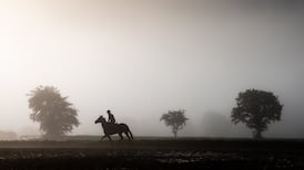 With Ireland and France missing, there’s little sense this is a World Cup final week
