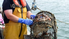 Infringements ‘low’ among Irish fishing fleet, regulator says
