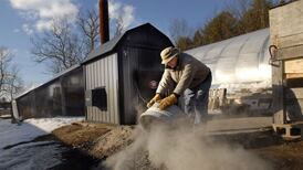 Q&A: What is the Northern Ireland ‘cash for ash’ scheme?