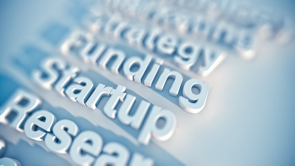 The number of new start-ups established in the first six months of the year has fallen. Photograph: iStock