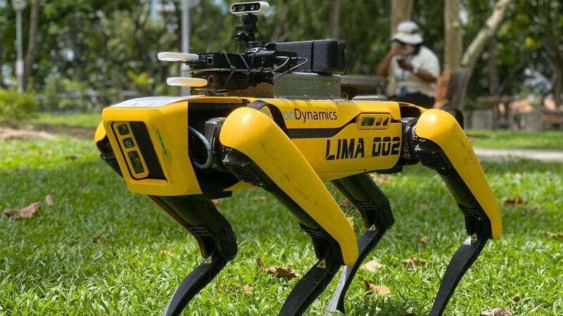 “Let’s keep Singapore healthy,” the yellow and black robodog named Spot says in English as it roams around in Singapore. “For your own safety and for those around you, please stand at least one metre apart.” Photograph: Govtech/EPA
