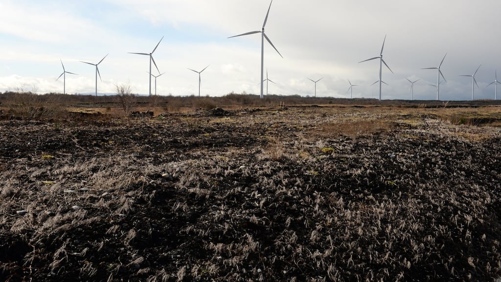 The Midlands is facing into ’a cliff edge situation’ due to Ireland getting out of peat production and the use of the fuel in power generation, Minister for Climate Action Richard Bruton has acknowledged. File photograph: Dara Mac Donaill/The Irish Times.