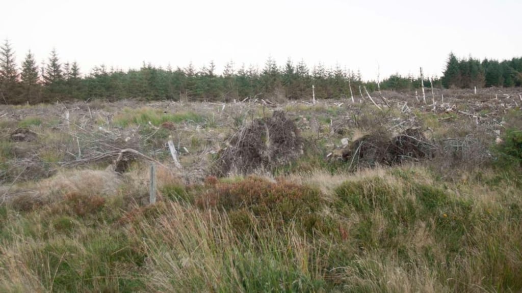 Killakee mountain, where the remains of Elaine O’Hara were found. Photograph: Gareth Chaney/Collins