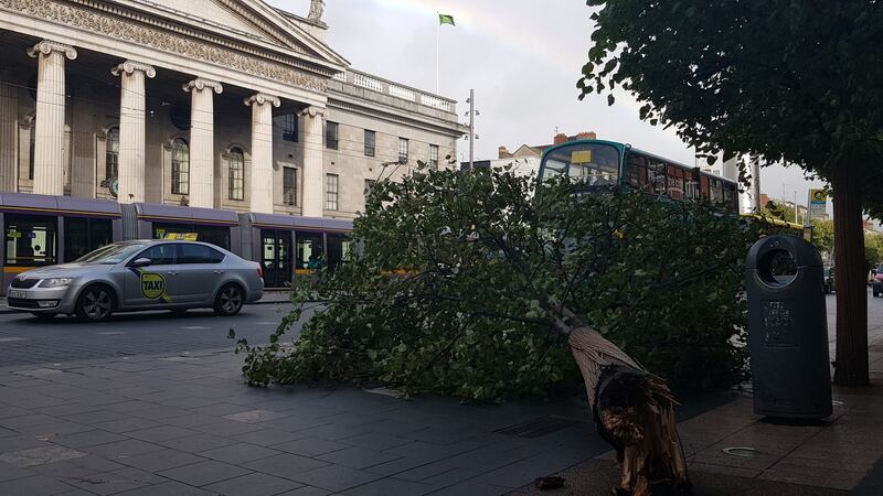 A fallen tree on O’Connell Street, Dublin, Wednesday morning. Photograph: Éanna Ó Caollaí