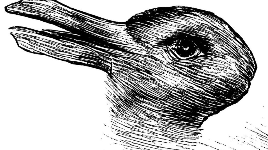 Is it a rabbit or is it a duck?