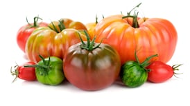 Tomatoes: To skin or not to skin?