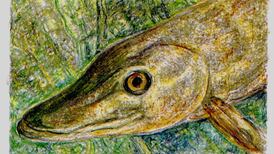 Pike no longer deemed to be the unacceptable foe