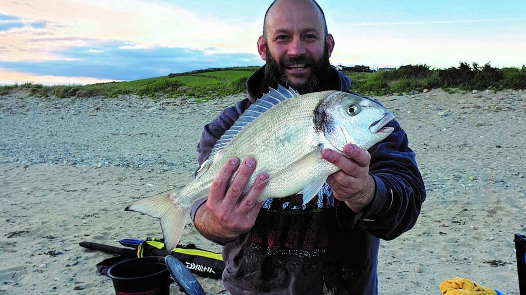 Terry O’Donovan with his specimen gilthead bream of 4.18lb caught in Clonakilty Bay, Co Cork